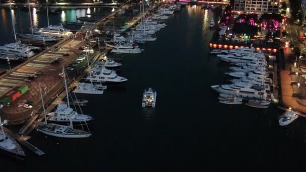 Viaduct Harbour Auckland Nuova Zelanda Dicembre 2019 Bellissima Scena Che — Video Stock