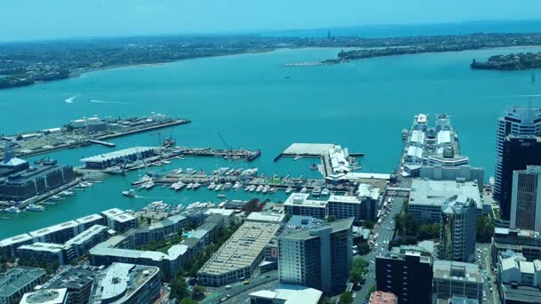 Viaduct Harbour Auckland Nueva Zelanda Diciembre 2019 Hermosa Escena Que — Vídeo de stock