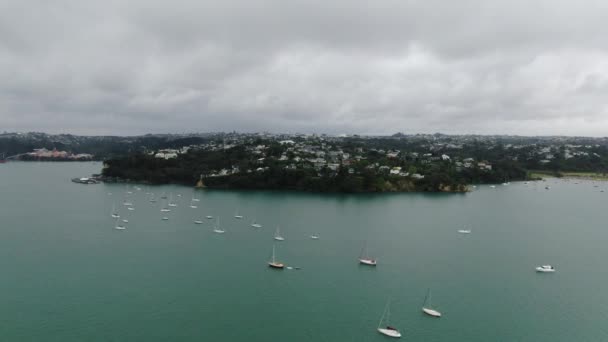 Viaduct Harbour Auckland New Zealand December 2019 Amazing Auckland Harbour — 비디오