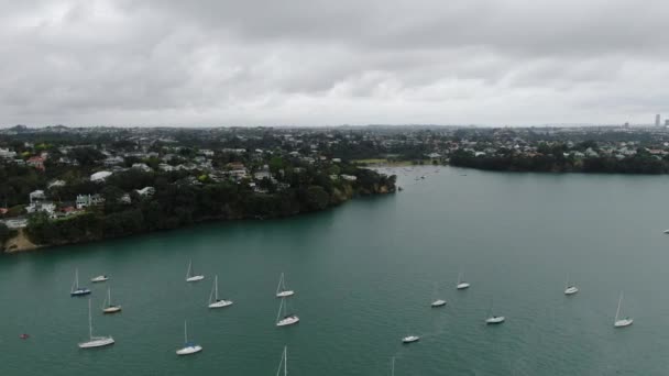 Viaduct Harbour Auckland Zéland 2019 December Amazing Auckland Harbour Bridge — Stock videók