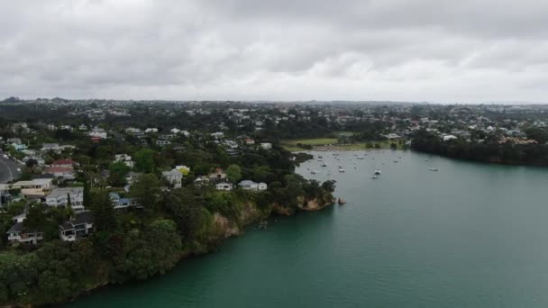 Viaduct Harbour Auckland Nuova Zelanda Dicembre 2019 Amazing Auckland Harbour — Video Stock