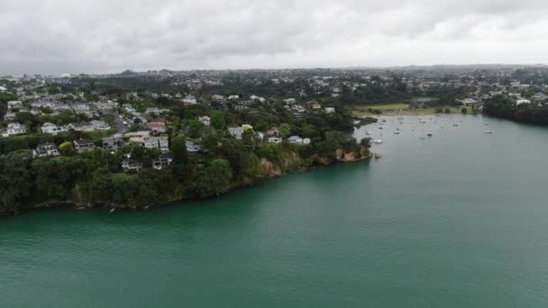 Viaduct Harbour Auckland Nueva Zelanda Diciembre 2019 Amazing Auckland Harbour — Vídeos de Stock