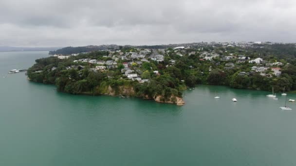 2019年12月30日 オークランド港橋 マリーナベイ ビーチ オークランドの一般的な街並みニュージーランド — ストック動画