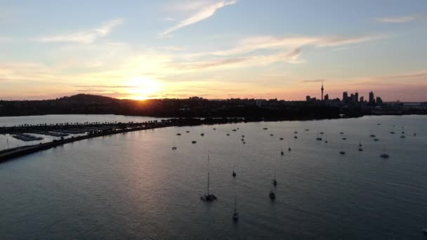 Viaduct Harbour Auckland Zéland 2019 December Judges Bay Okahu Bay — Stock videók