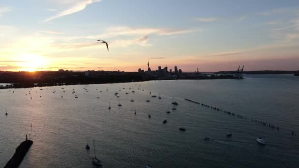 Viaduct Harbour Auckland Yeni Zelanda Aralık 2019 Judges Bay Okahu — Stok video