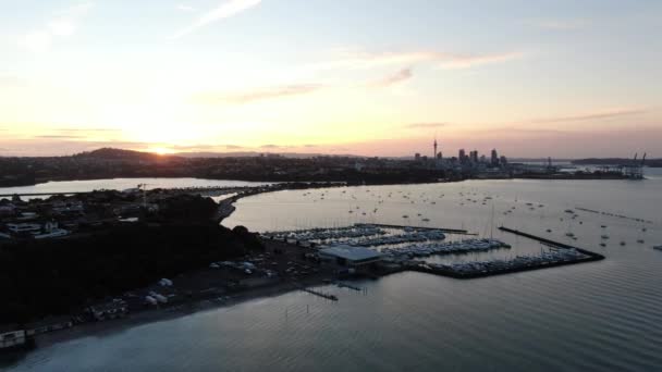 Viaduct Harbour Auckland Nieuw Zeeland December 2019 Rechters Bay Okahu — Stockvideo