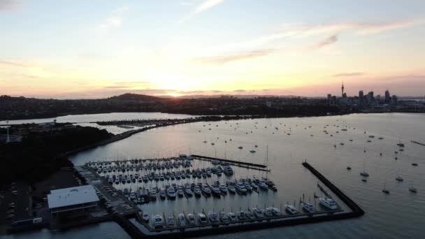 Viaduct Harbour Auckland Nouvelle Zélande Décembre 2019 Judges Bay Okahu — Video