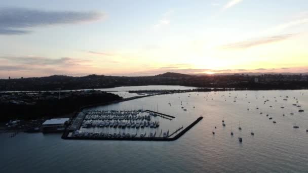 Viaduct Harbour Auckland Zéland 2019 December Judges Bay Okahu Bay — Stock videók