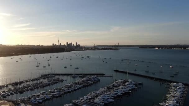 Viaduct Harbour Auckland Zéland 2019 December Judges Bay Okahu Bay — Stock videók