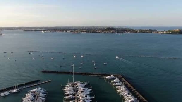 Viaduct Harbour Auckland Zéland 2019 December Judges Bay Okahu Bay — Stock videók