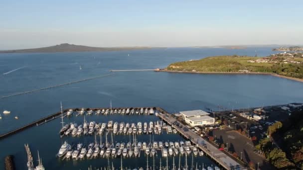 Viaduct Harbour Auckland Nueva Zelanda Diciembre 2019 Judges Bay Okahu — Vídeos de Stock