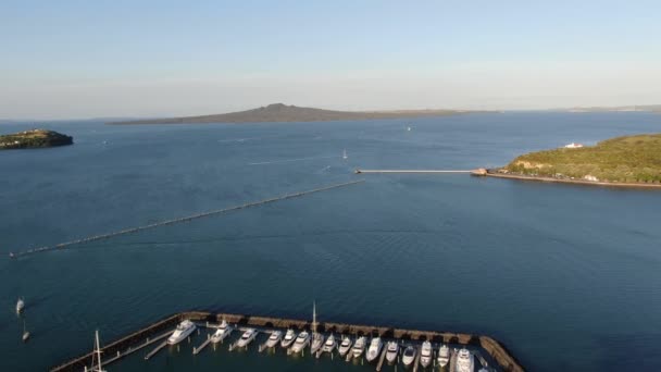 Viaduct Harbour Auckland Zéland 2019 December Judges Bay Okahu Bay — Stock videók