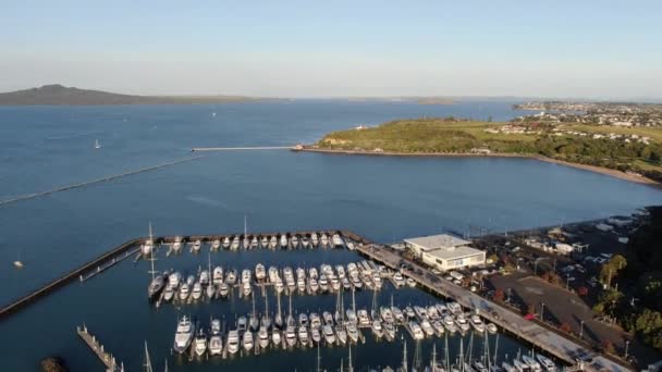 Viaduct Harbour Auckland Zéland 2019 December Judges Bay Okahu Bay — Stock videók