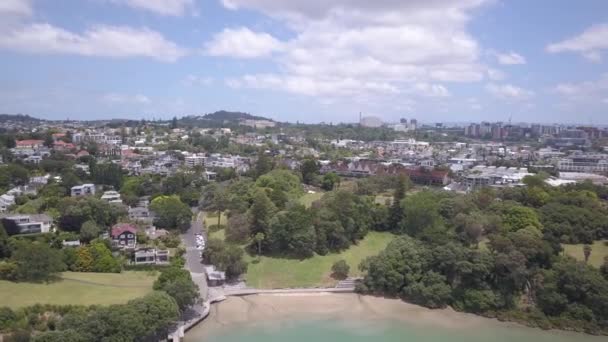 Viaduct Harbour Auckland New Zealand Δεκεμβρίου 2019 Όμορφη Σκηνή Γύρω — Αρχείο Βίντεο