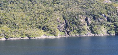 Milford Sound and Doubtful Sound Fjord, Yeni Zelanda 'nın Görkemli Dağları ve Dramatik Şelaleleri