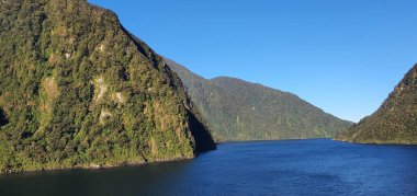 Milford Sound and Doubtful Sound Fjord, Yeni Zelanda 'nın Görkemli Dağları ve Dramatik Şelaleleri