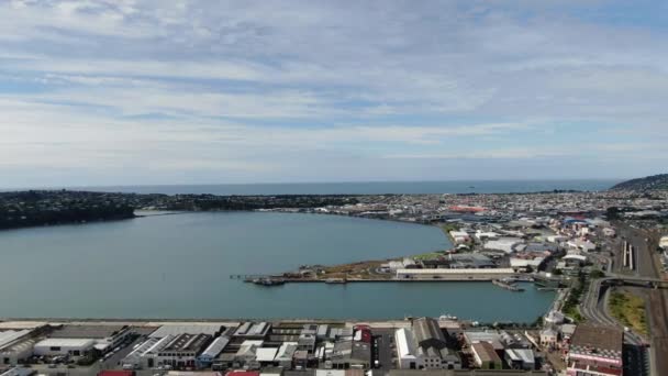 Dunedin Otago Yeni Zelanda Aralık 2019 Dunedin Şehri Yeni Zelanda — Stok video