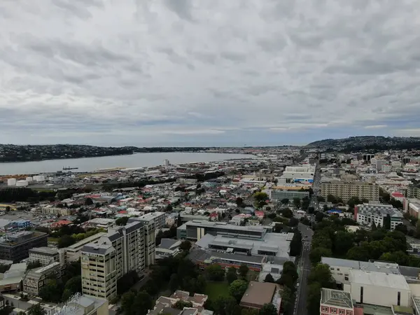 ドゥネディン オタゴ ニュージーランド 2019年12月29日 ドゥネディン市の雄大な海岸の景色ニュージーランドと農村部 — ストック写真