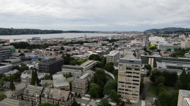 Dunedin Otago Yeni Zelanda Aralık 2019 Dunedin Şehri Yeni Zelanda — Stok video