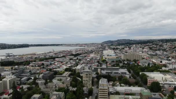 Dunedin Otago New Zealand Δεκεμβρίου 2019 Majestic Coast View Dunedin — Αρχείο Βίντεο