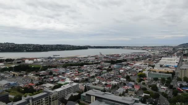 Dunedin Otago Nueva Zelanda Diciembre 2019 Majestuosa Vista Costa Ciudad — Vídeos de Stock