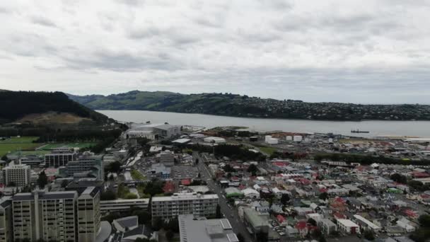 Dunedin Otago New Zealand Dezember 2019 Der Majestätische Blick Auf — Stockvideo