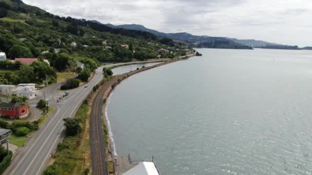 Dunedin Otago New Zealand December 2019 Majestic Coast View Dunedin — 图库视频影像