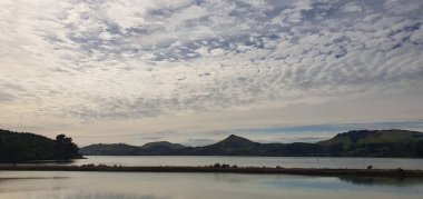 Dunedin, Otago / Yeni Zelanda - 29 Aralık 2019: Dunedin şehri Yeni Zelanda ve kırsal alanlarının Görkemli Sahil Manzarası