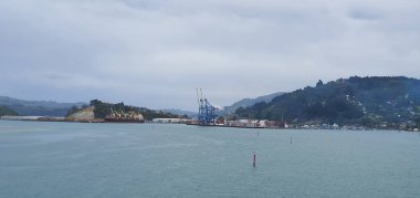 Dunedin, Otago / Yeni Zelanda - 29 Aralık 2019: Dunedin şehri Yeni Zelanda ve kırsal alanlarının Görkemli Sahil Manzarası