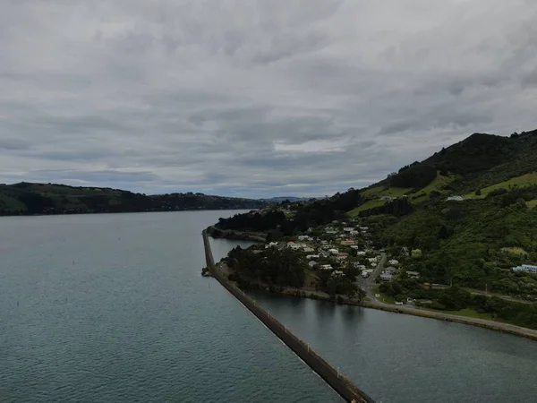 Dunedin Otago แลนด นวาคม 2019 มมองชายฝ งใหญ ของเม Dunedin แลนด — ภาพถ่ายสต็อก