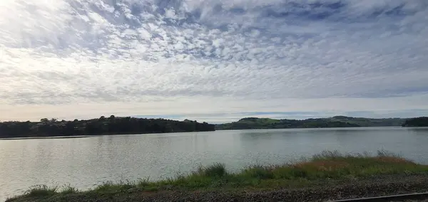 Dunedin Otago Nova Zelândia Dezembro 2019 Majestic Coast View Dunedin — Fotografia de Stock