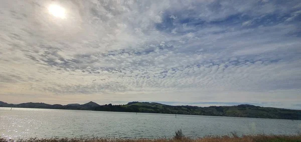 Dunedin Otago Nový Zéland Prosince 2019 Majestic Coast View Město — Stock fotografie