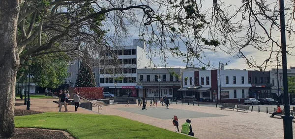 Dunedin Otago Nya Zeeland December 2019 Den Majestätiska Kusten Utsikt — Stockfoto