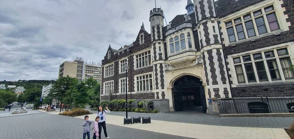 Dunedin Otago Nueva Zelanda Diciembre 2019 Majestuosa Vista Costa Ciudad — Foto de Stock