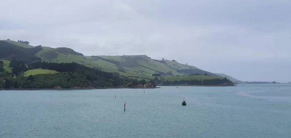 Dunedin Otago Nouvelle Zélande Décembre 2019 Majestueuse Vue Sur Côte — Photo