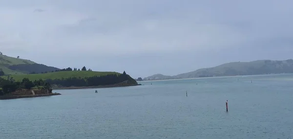 Dunedin Otago Nueva Zelanda Diciembre 2019 Majestuosa Vista Costa Ciudad — Foto de Stock