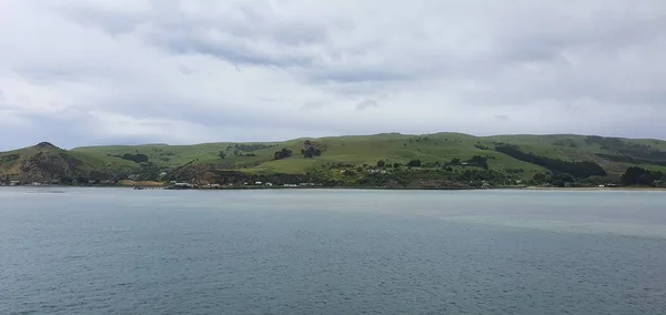 Dunedin Otago Nueva Zelanda Diciembre 2019 Majestuosa Vista Costa Ciudad — Foto de Stock