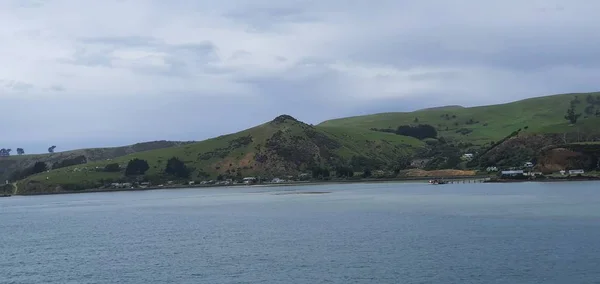 Dunedin Otago Nueva Zelanda Diciembre 2019 Majestuosa Vista Costa Ciudad — Foto de Stock