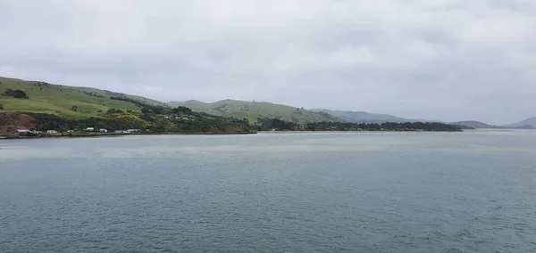 Dunedin Otago New Zealand Δεκεμβρίου 2019 Majestic Coast View Dunedin — Φωτογραφία Αρχείου
