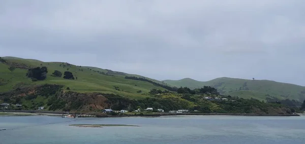 Dunedin Otago New Zealand December 2019 Majestic Coast View Dunedin — 图库照片