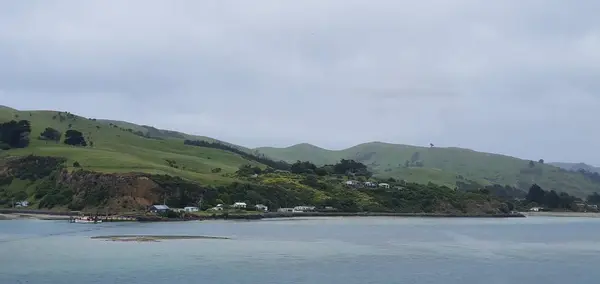 Dunedin Otago New Zealand Dezember 2019 Der Majestätische Blick Auf — Stockfoto