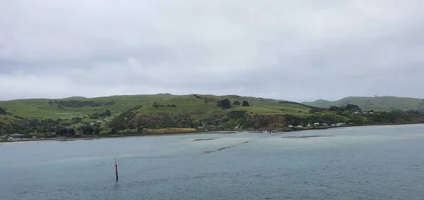 Dunedin Otago New Zealand Dezember 2019 Der Majestätische Blick Auf — Stockfoto