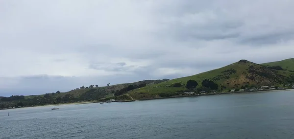 Dunedin Otago New Zealand December 2019 Majestic Coast View Dunedin — Stock Photo, Image