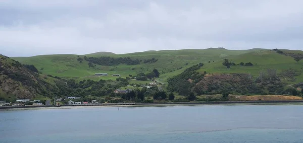 ドゥネディン オタゴ ニュージーランド 2019年12月29日 ドゥネディン市の雄大な海岸の景色ニュージーランドと農村部 — ストック写真
