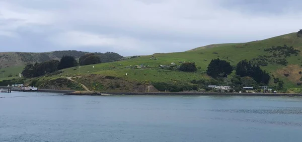 Dunedin Otago Nova Zelândia Dezembro 2019 Majestic Coast View Dunedin — Fotografia de Stock