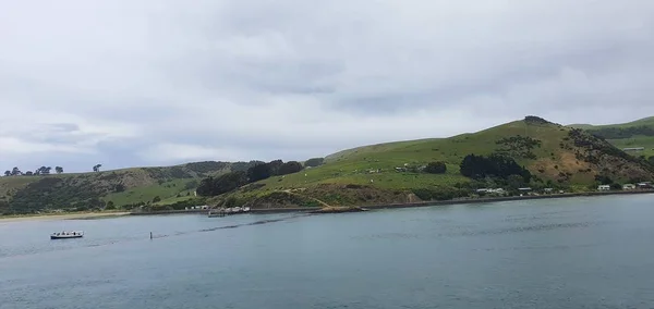 Dunedin Otago Nueva Zelanda Diciembre 2019 Majestuosa Vista Costa Ciudad — Foto de Stock