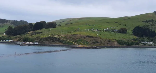 Dunedin Otago New Zealand Δεκεμβρίου 2019 Majestic Coast View Dunedin — Φωτογραφία Αρχείου