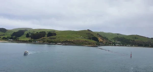 Dunedin Otago Nueva Zelanda Diciembre 2019 Majestuosa Vista Costa Ciudad — Foto de Stock