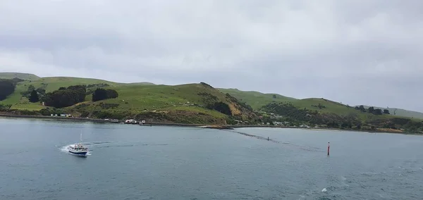 Dunedin Otago Nueva Zelanda Diciembre 2019 Majestuosa Vista Costa Ciudad — Foto de Stock