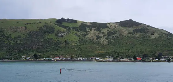 Dunedin Otago New Zealand Dezember 2019 Der Majestätische Blick Auf — Stockfoto